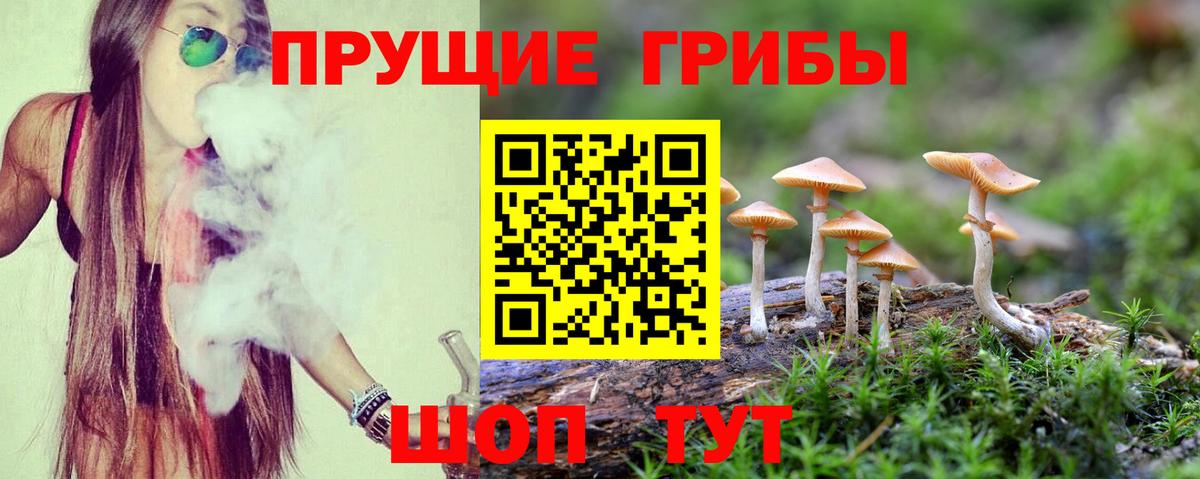 Галлюциногенные грибы мухоморы Ковров